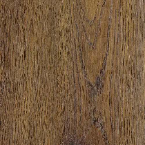 528 傑斯那橡木