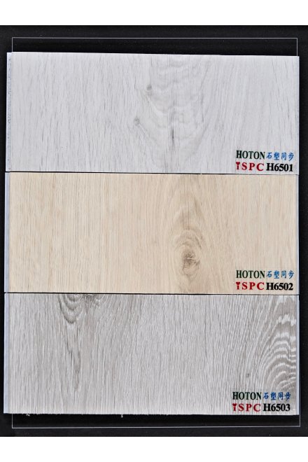 hoton-spc-65-4v 第 2 頁
