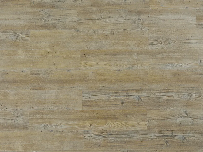 WTLA-6206
